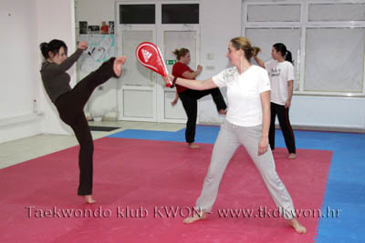 taekwondo kwon training